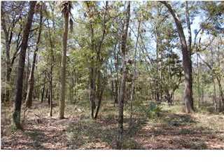 8404 Palmetto Rd, Edisto Island, SC 29438