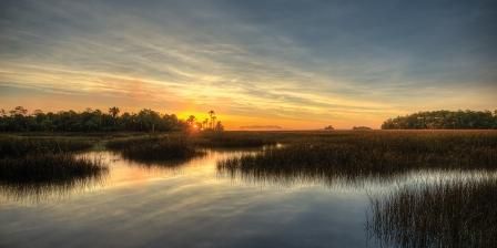 571 Wading Pl, Daniel Island, SC 29492