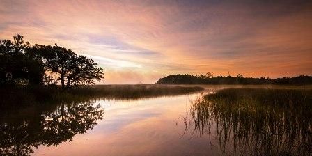 571 Wading Pl, Daniel Island, SC 29492