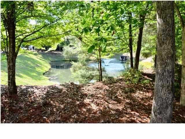 1008 W Marymont Ln, Charleston, SC 29414