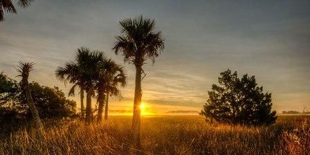 638 Bermuda Isle St, Daniel Island, SC 29492