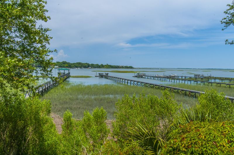 1110 Sea Eagle Watch, Charleston, SC 29412