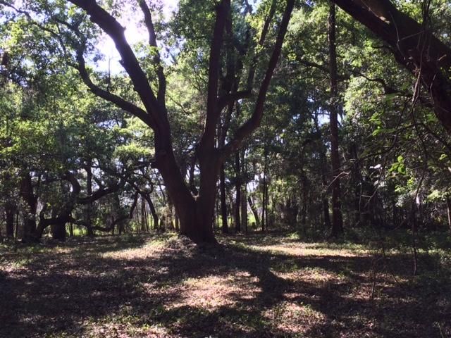 2 Marsh Aire Ln, Edisto Island, SC 29438