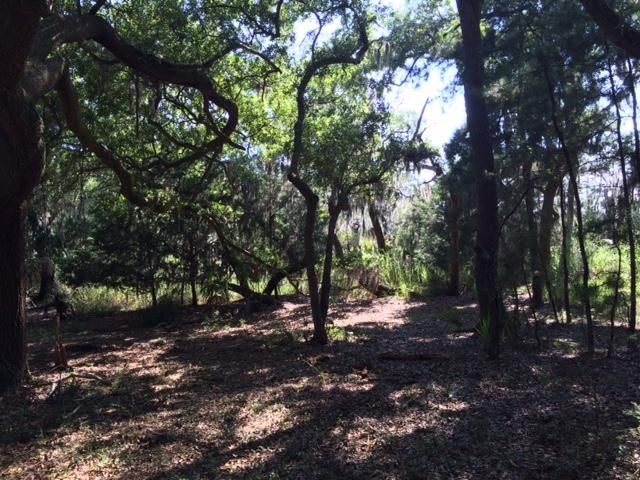 2 Marsh Aire Ln, Edisto Island, SC 29438