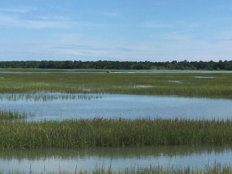 1579 Terns Nest, Charleston, SC 29412