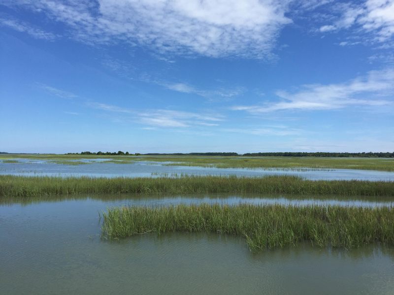 1579 Terns Nest, Charleston, SC 29412
