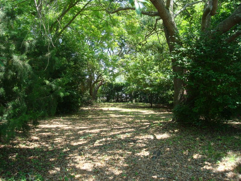 2018 Covey Ln, Charleston, SC 29412