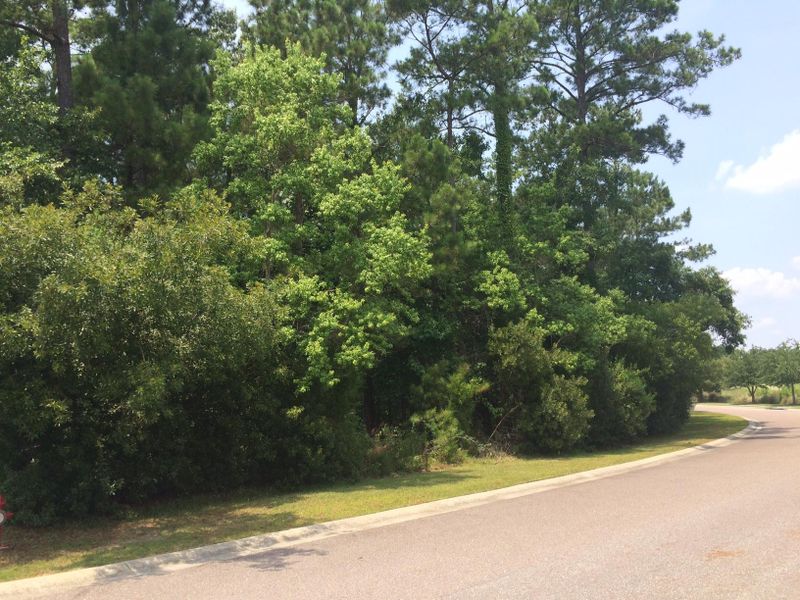 1546 Sea Pines Dr, Mount Pleasant, SC 29466