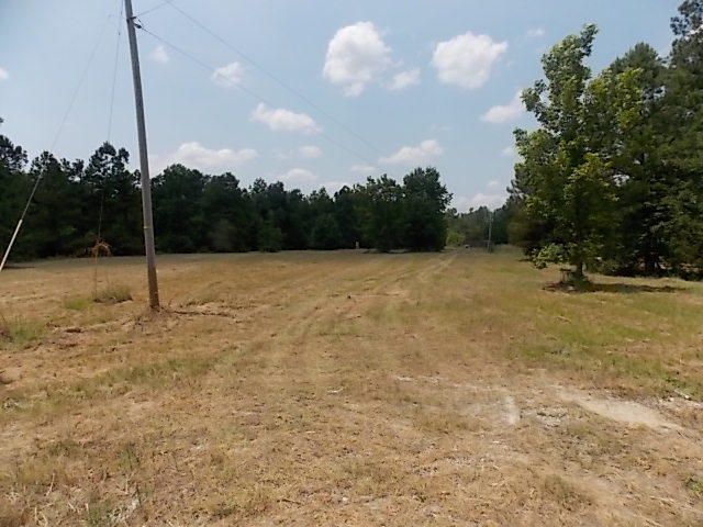 149 Maple Branch Rd, Reevesville, SC 29471