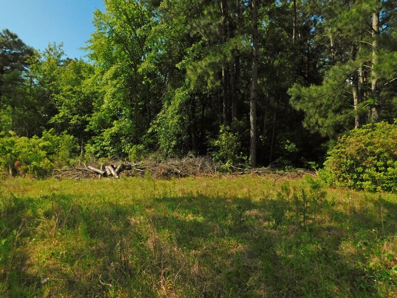 1643 Mudville Rd, Ridgeville, SC 29472