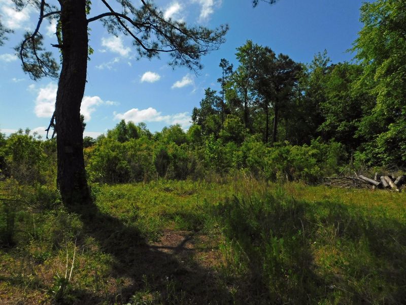 1643 Mudville Rd, Ridgeville, SC 29472