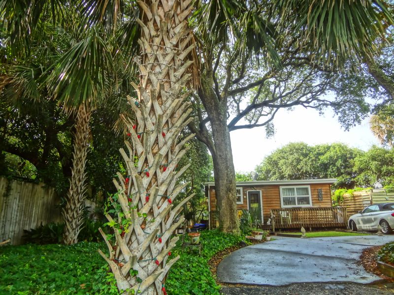 918 E Arctic Ave, Folly Beach, SC 29439