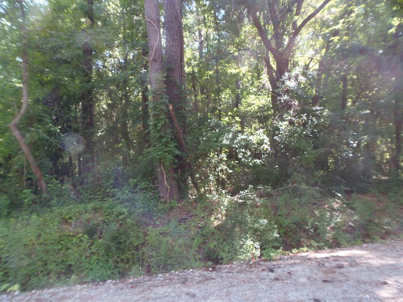 0 George St, Moncks Corner, SC 29461