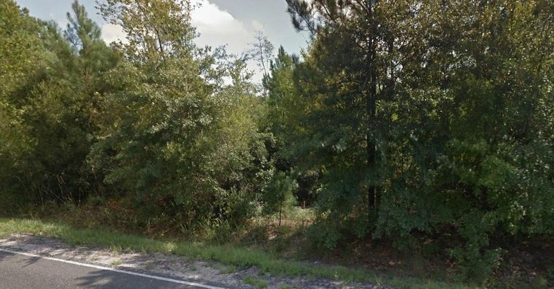 0 Mudville Rd, Ridgeville, SC 29472