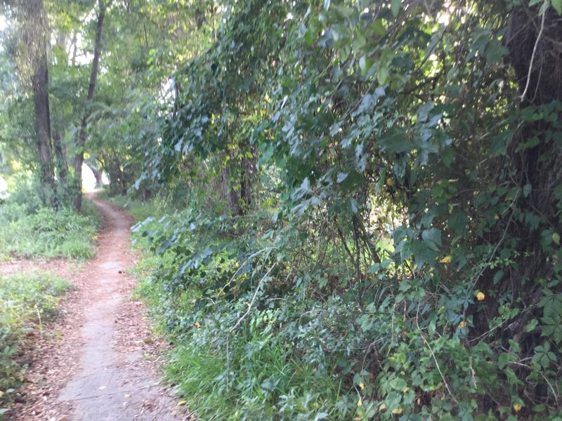 800 Blk. Long Point Rd, Mount Pleasant, SC 29464