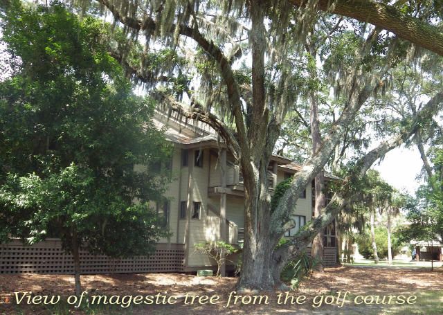 852 Club Cottage Dr, Edisto Beach, SC 29438
