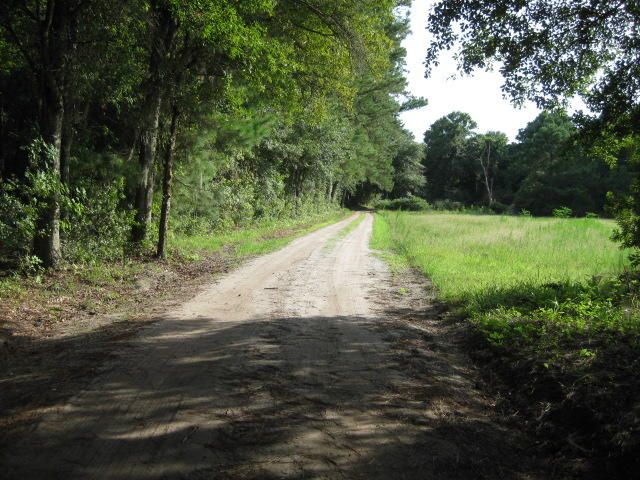 0 Walwood Rd, Edisto Island, SC 29438