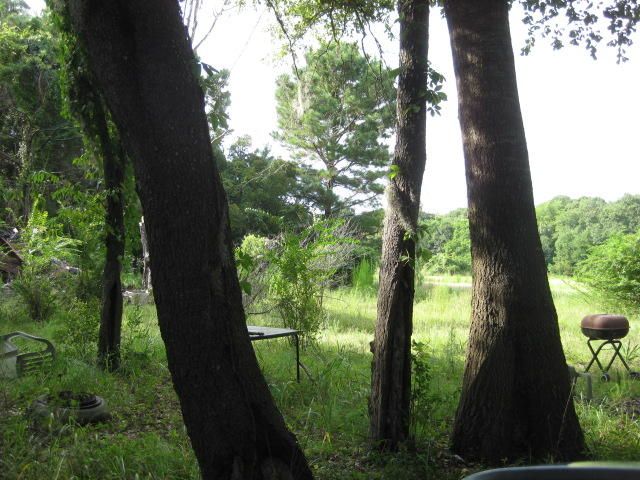 0 Walwood Rd, Edisto Island, SC 29438