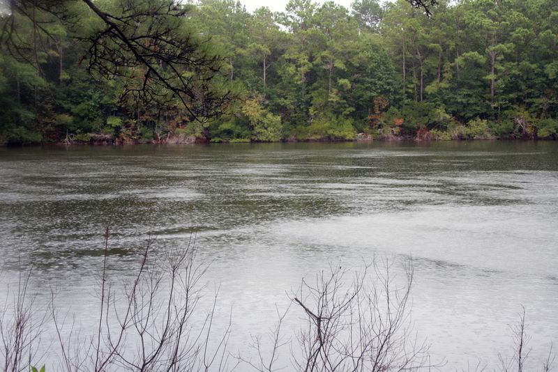 Lot 10 Roast Duck Ln, Johns Island, SC 29455