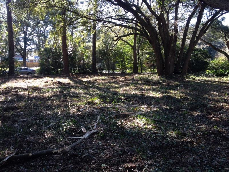 0 Leafwood Dr, James Island, SC 29412