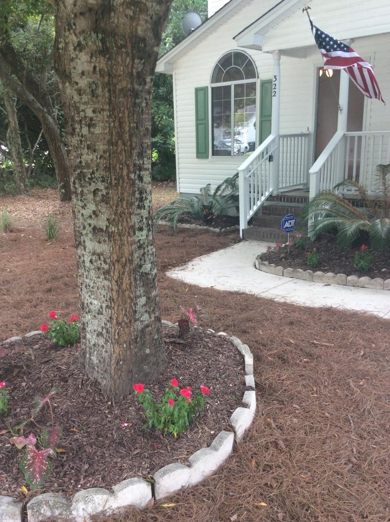 322 Stefan Dr, Charleston, SC 29412