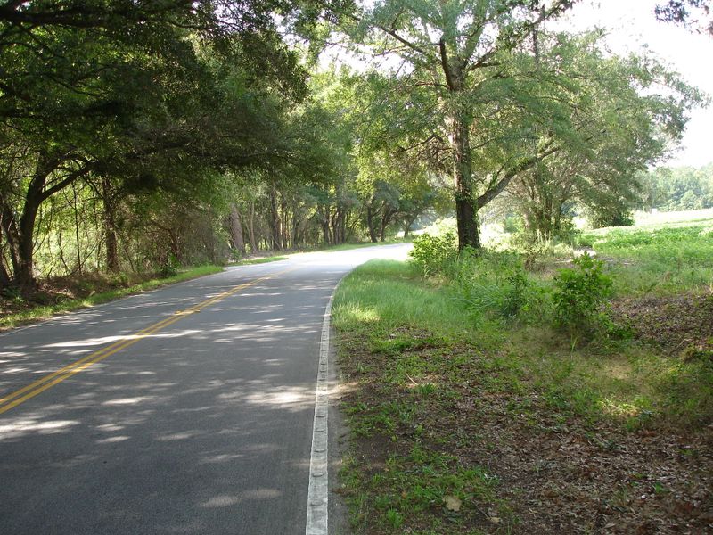 10 Toogoodoo Rd, Meggett, SC 29449