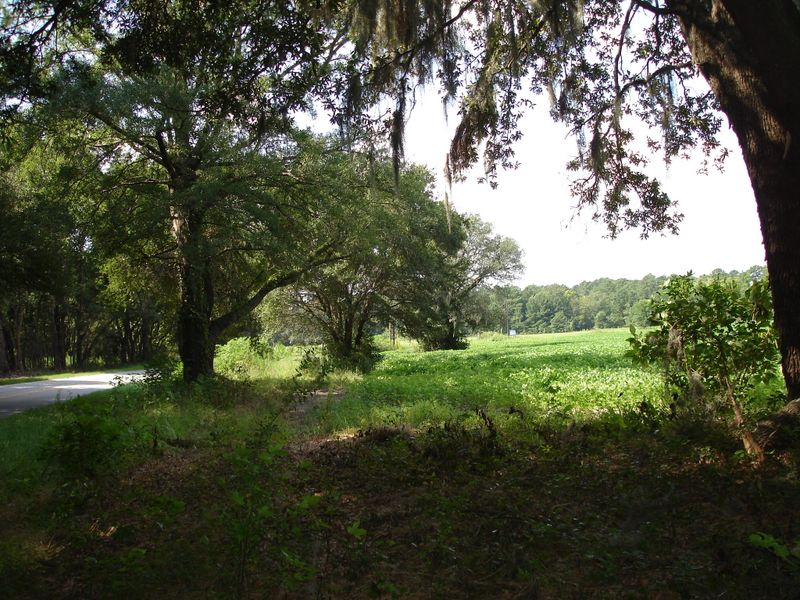 10 Toogoodoo Rd, Meggett, SC 29449