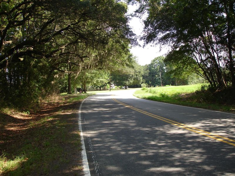 10 Toogoodoo Rd, Meggett, SC 29449