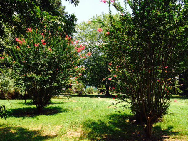 2028 Lucky Rd, Charleston, SC 29412
