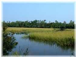 3679 Coastal Crab Rd, Mount Pleasant, SC 29466