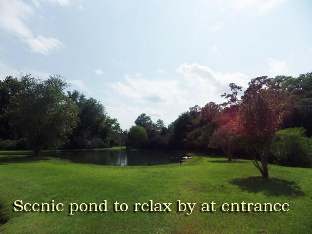 8250 Chisolm Plantation Rd, Edisto Island, SC 29438