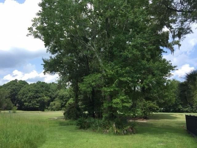 Lot 3 Shadowmoss Pw, Charleston, SC 29414