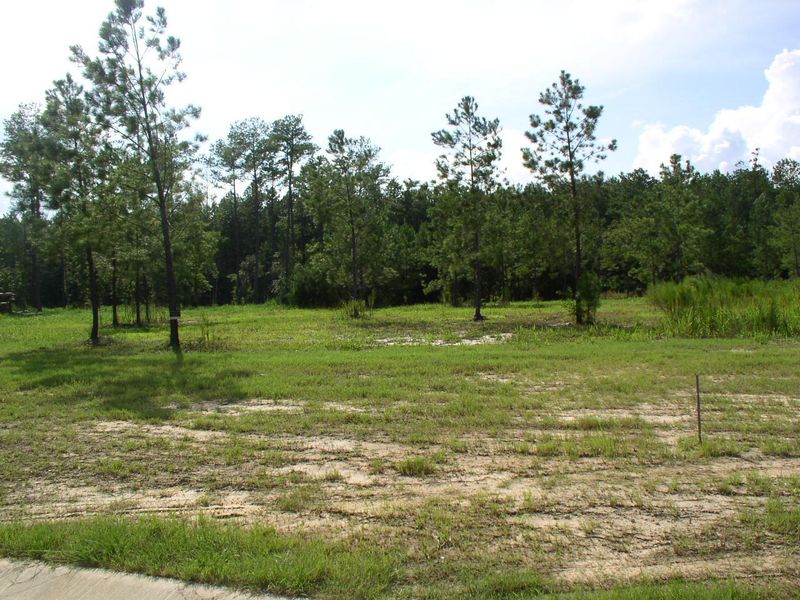 0 Stone Gate Ln Lot 16, Summerville, SC 29483