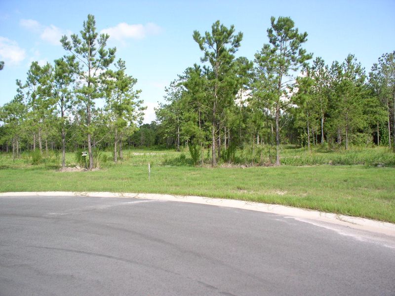 113 Stone Gate Ln Lot 3-D, Summerville, SC 29483