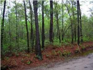 0 Gray Goose Ln, Summerville, SC 29483