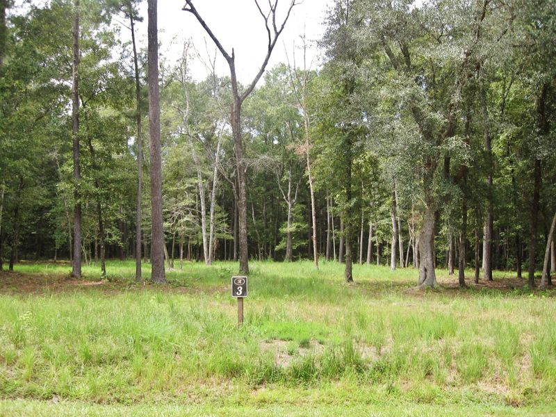 3 Pepper Grass Trl, Ravenel, SC 29470