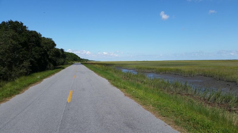 0 Seafood Rd, Awendaw, SC 29429