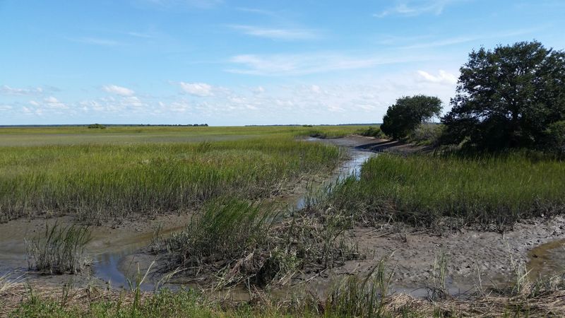 0 Seafood Rd, Awendaw, SC 29429