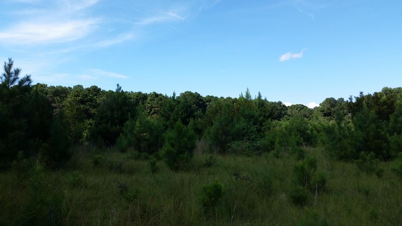 0 Seafood Rd, Awendaw, SC 29429