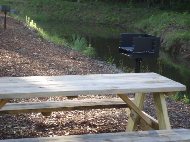 27 Peppergrass Trl, Ravenel, SC 29470