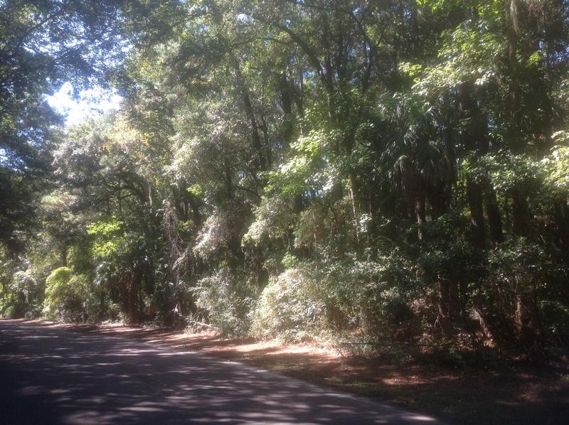 3019 Baywood Dr, Seabrook Island, SC 29455