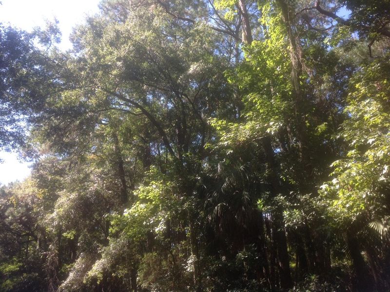 3019 Baywood Dr, Seabrook Island, SC 29455