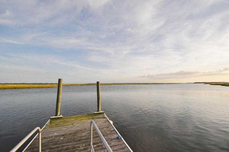 1124 Camellia Walk Ct, Charleston, SC 29412