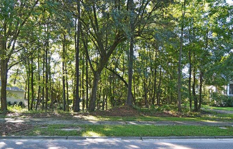 15 Surr St, Charleston, SC 29492