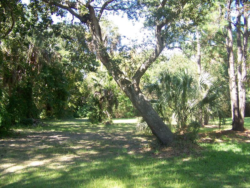 279 Forest Trl, Isle Of Palms, SC 29451