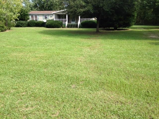 182 Creek Rd, Reevesville, SC 29471