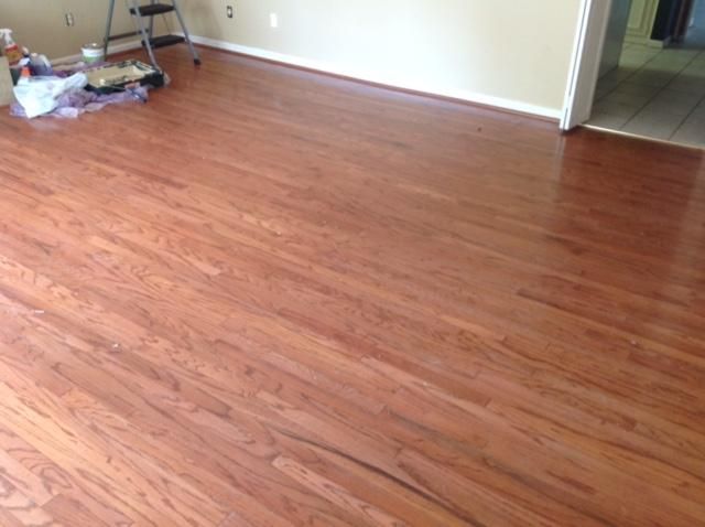 1038 Point Of Light Ln, Charleston, SC 29412