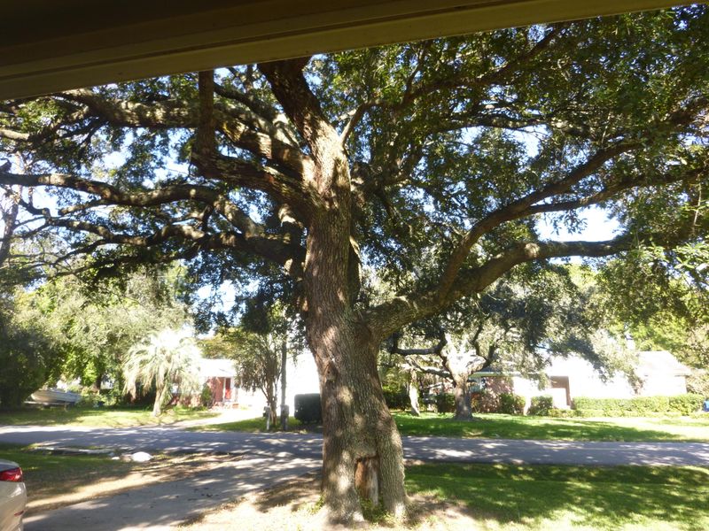 1297 Fort Lamar Rd, Charleston, SC 29412