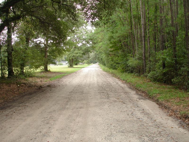 5350 Hwy 174, Adams Run, SC 29426
