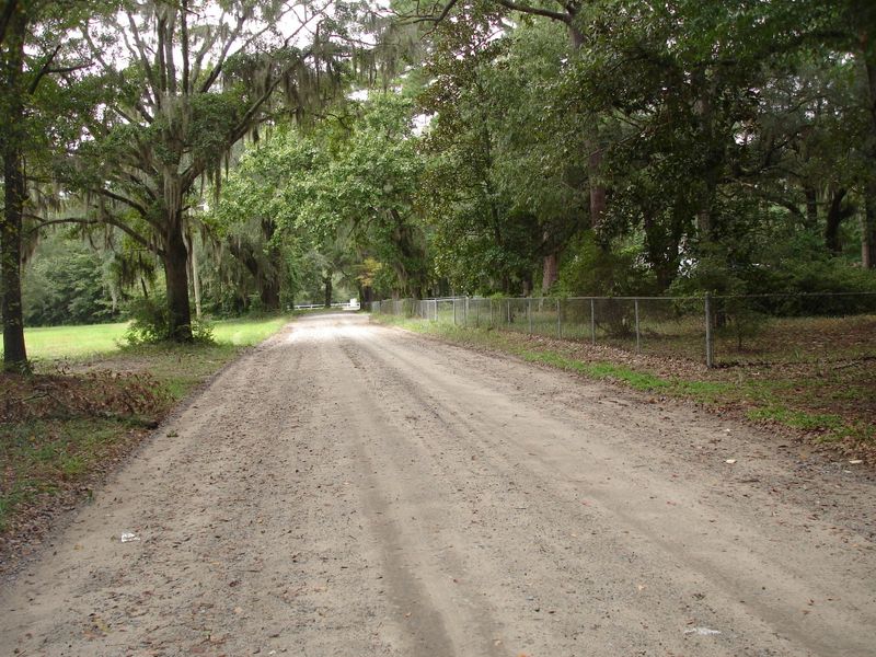 5350 Hwy 174, Adams Run, SC 29426